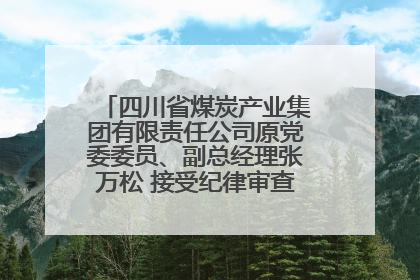 四川省煤炭产业集团有限责任公司原党委委员、副总经理张万松 接受纪律审查和监察调查