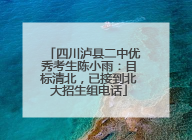 四川泸县二中优秀考生陈小雨：目标清北，已接到北大招生组电话