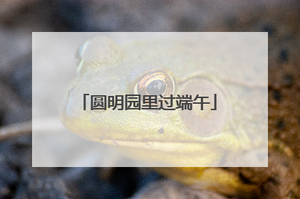圆明园里过端午