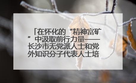 在怀化的“精神富矿”中汲取前行力量——长沙市无党派人士和党外知识分子代表人士培训班在怀化圆满举办