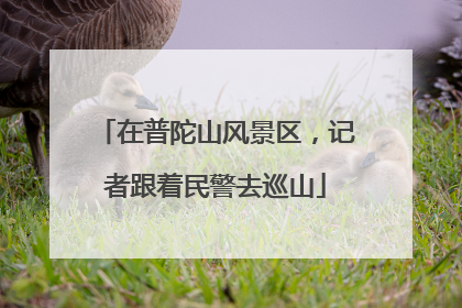 在普陀山风景区，记者跟着民警去巡山