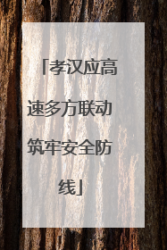 孝汉应高速多方联动筑牢安全防线
