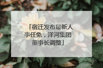 宿迁发布最新人事任免，洋河集团董事长调整