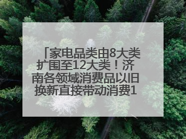 家电品类由8大类扩围至12大类！济南各领域消费品以旧换新直接带动消费157.2亿元