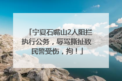 宁夏石嘴山2人阻拦执行公务，辱骂撕扯致民警受伤，拘！