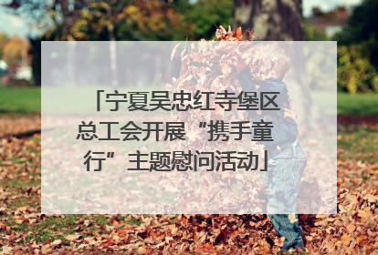 宁夏吴忠红寺堡区总工会开展“携手童行”主题慰问活动