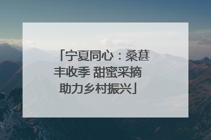 宁夏同心：桑葚丰收季 甜蜜采摘助力乡村振兴