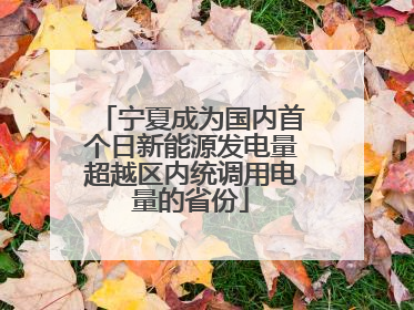 宁夏成为国内首个日新能源发电量超越区内统调用电量的省份
