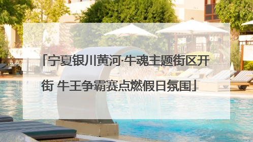 宁夏银川黄河·牛魂主题街区开街 牛王争霸赛点燃假日氛围