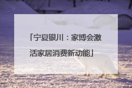 宁夏银川：家博会激活家居消费新动能