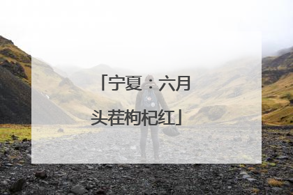宁夏：六月头茬枸杞红