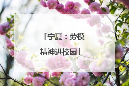 宁夏：劳模精神进校园