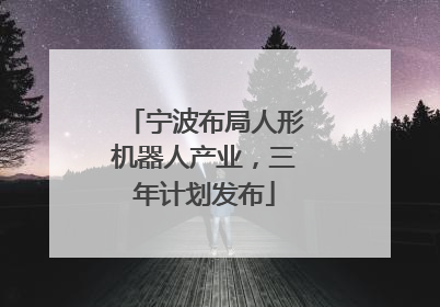 宁波布局人形机器人产业，三年计划发布