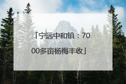 宁远中和镇：7000多亩杨梅丰收
