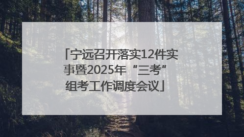 宁远召开落实12件实事暨2025年“三考”组考工作调度会议