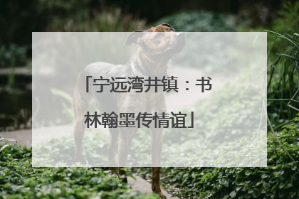 宁远湾井镇：书林翰墨传情谊