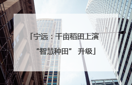 宁远：千亩稻田上演 “智慧种田” 升级