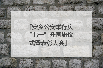 安乡公安举行庆“七一”升国旗仪式暨表彰大会