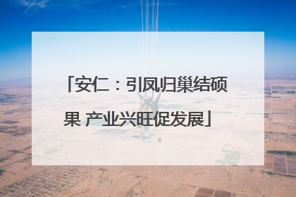 安仁：引凤归巢结硕果 产业兴旺促发展