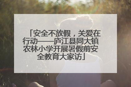 安全不放假，关爱在行动——庐江县同大镇农林小学开展暑假前安全教育大家访