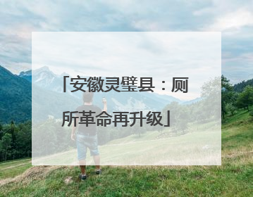 安徽灵璧县：厕所革命再升级