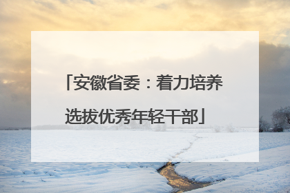 安徽省委：着力培养选拔优秀年轻干部