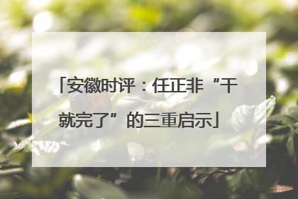 安徽时评：任正非“干就完了”的三重启示