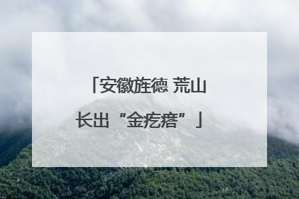 安徽旌德 荒山长出“金疙瘩”