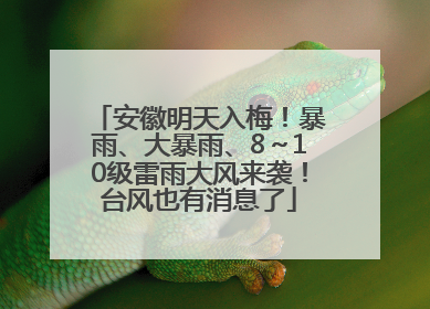 安徽明天入梅！暴雨、大暴雨、8～10级雷雨大风来袭！台风也有消息了