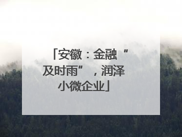 安徽：金融“及时雨”，润泽小微企业