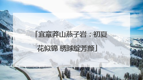 宜章莽山燕子岩：初夏花似锦 绣球绽芳颜