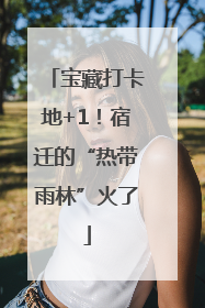 宝藏打卡地+1！宿迁的“热带雨林”火了