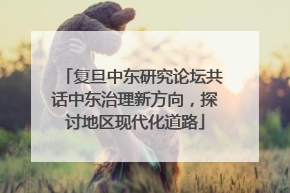 复旦中东研究论坛共话中东治理新方向，探讨地区现代化道路