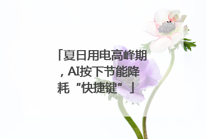 夏日用电高峰期，AI按下节能降耗“快捷键”