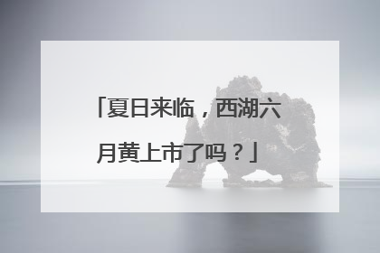 夏日来临，西湖六月黄上市了吗？