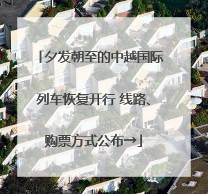 夕发朝至的中越国际列车恢复开行 线路、购票方式公布→