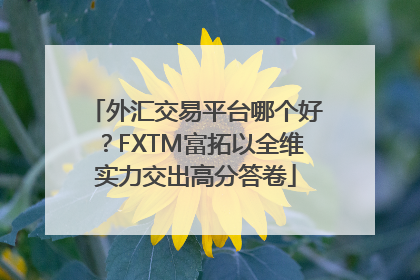 外汇交易平台哪个好？FXTM富拓以全维实力交出高分答卷