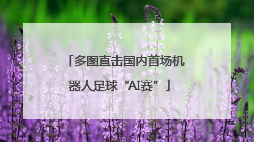 多图直击国内首场机器人足球“AI赛”