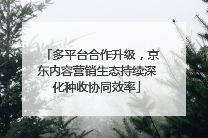 多平台合作升级，京东内容营销生态持续深化种收协同效率