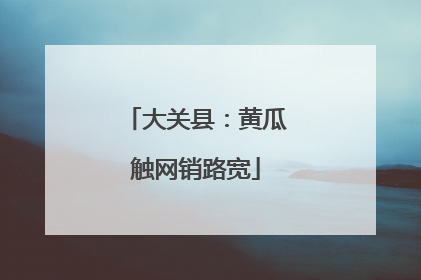 大关县：黄瓜触网销路宽