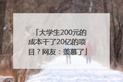 大学生200元的成本干了20亿的项目？网友：羡慕了