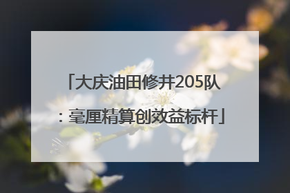 大庆油田修井205队：毫厘精算创效益标杆