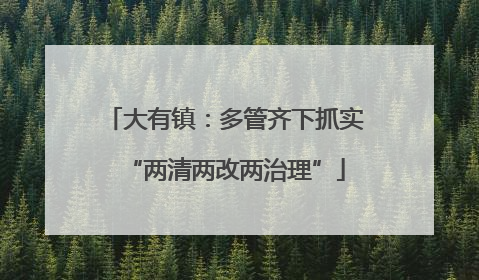 大有镇：多管齐下抓实“两清两改两治理”