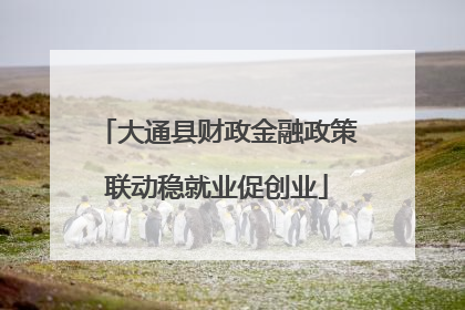 大通县财政金融政策联动稳就业促创业