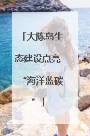 大陈岛生态建设点亮“海洋蓝碳”
