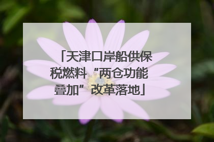 天津口岸船供保税燃料“两仓功能叠加”改革落地