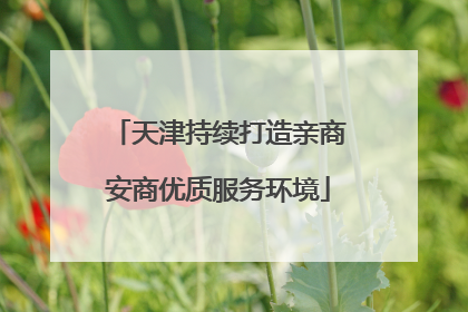 天津持续打造亲商安商优质服务环境