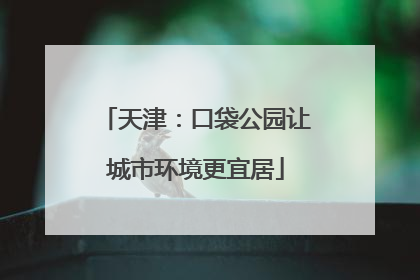 天津：口袋公园让城市环境更宜居