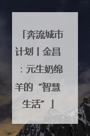 奔流城市计划丨金昌：元生奶绵羊的“智慧生活”