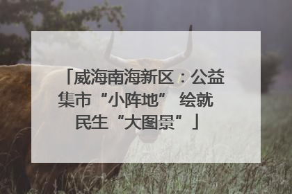 威海南海新区：公益集市“小阵地” 绘就民生“大图景”